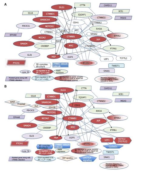 Gene Expression And Pathway Analysis Of Ctnnb In Cancer And Stem Cells