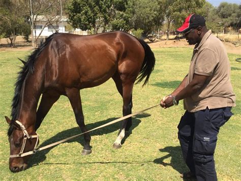 Govt Urged To Incentivise Young Farmers Business The Namibian