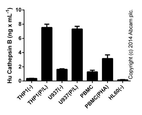 Cathepsin B Activity Assay试剂盒fluorometric Abcam中文官网