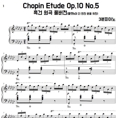 쇼팽 에튀드 악보 흑건 일반 악보 Chopin Etude Op10 No5플랫버전 3분피아노