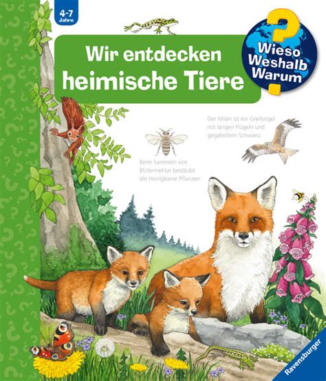 Wieso Weshalb Warum 71 Wir Entdecken Heimische Tiere Das