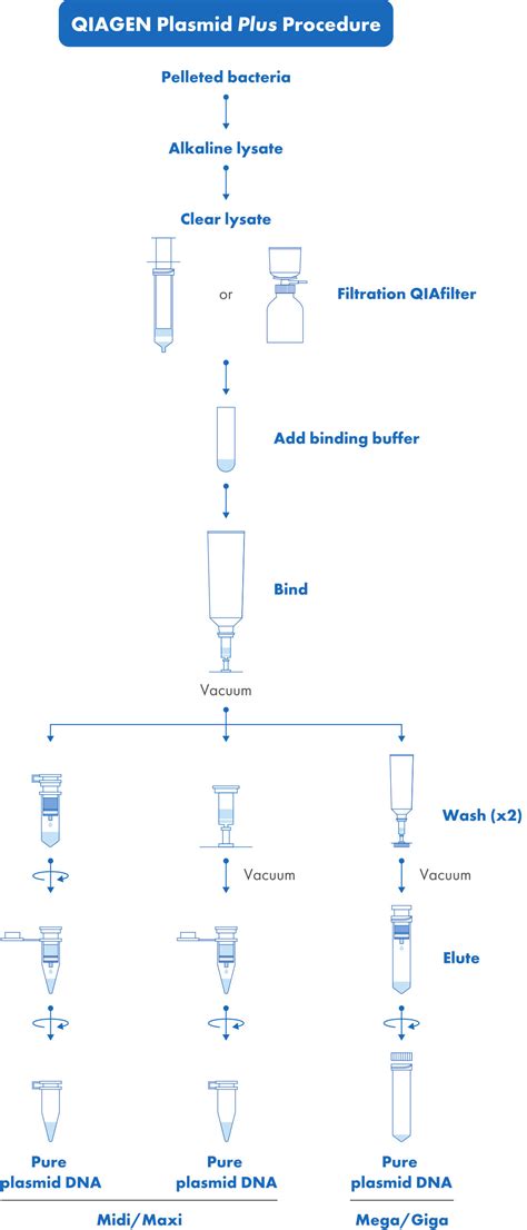 QIAGEN Plasmid Plus Kit