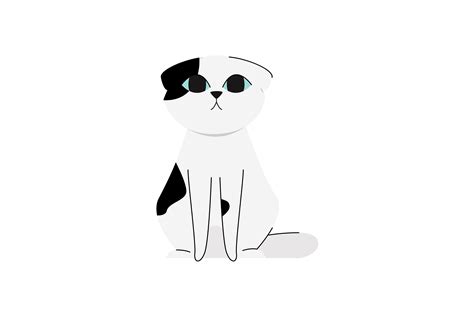 Cute Black & White Scottish Fold Cat Graphic by danmoroboshi · Creative