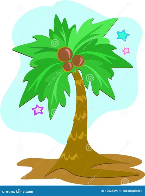 Tropical Palm Tree With Coconuts Stock Illustration Illustration Of