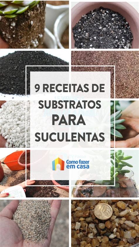 Substratos Para Plantar Suculentas Como Fazer Em Casa