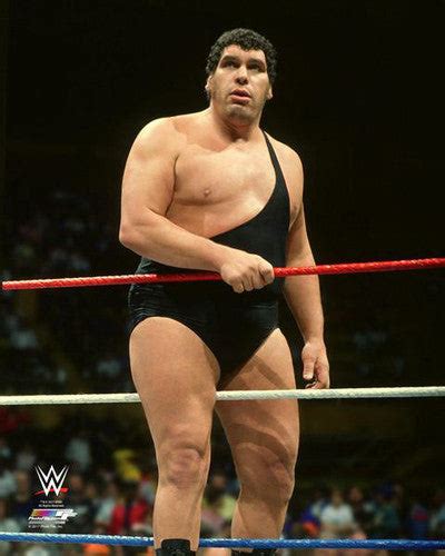 Andre The Giant Wwe Wrestling Classic Ring Action C1987 Premium Poster Print Photofile Inc