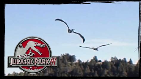 New Footage Of Jurassic Park Iii Pteranodons In Vancouver Youtube