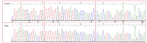 Ten Female Specific Snp Markers In The Sequencing Chromatograms Of The