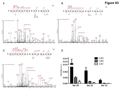 Fig S Identification Of Rpa Phosphorylation Sites By Mass