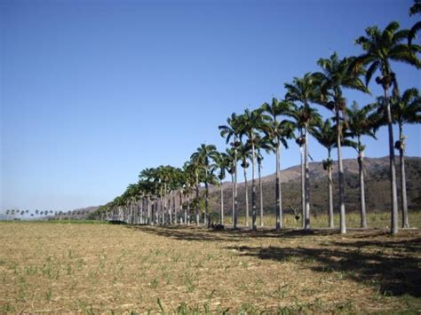 Foto de Aragua, Venezuela