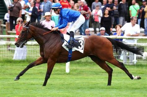 Pronostic Quinté PMU du PRIX LE PARISIEN PRIX DES COTEAUX DE LA SEINE