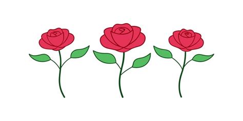 Premium Vector | A drawing of roses with a green stem