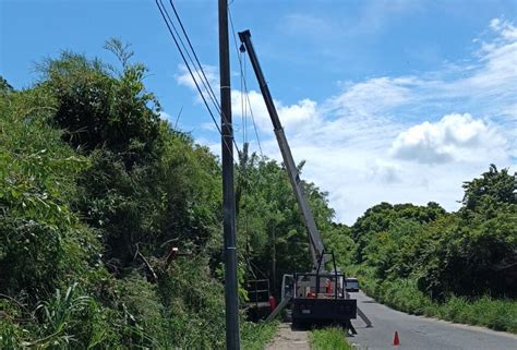 Realizan Poda Preventiva De Rboles H Ayuntamiento De Nanchital