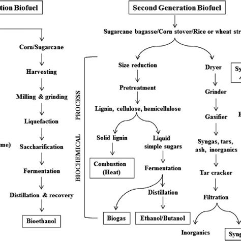 Third-and fourth generation biofuels [28]. | Download Scientific Diagram