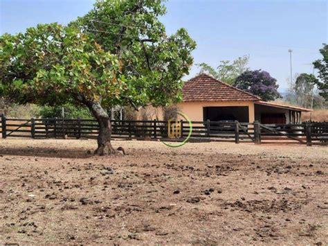 Fazenda Venda M Por R Setor Oeste Padre