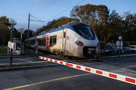 Une Personne Percutée Par Un Train La Circulation Des Ter Reprend