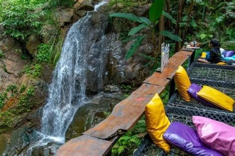 Chiang Mai Thailand｜pong Yaeng Jungle Coaster And Zipline Jungle Adventure Zipline Experience