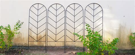 Amazon SCENDOR 4 Pack Metal Garden Trellis For Climbing Plants