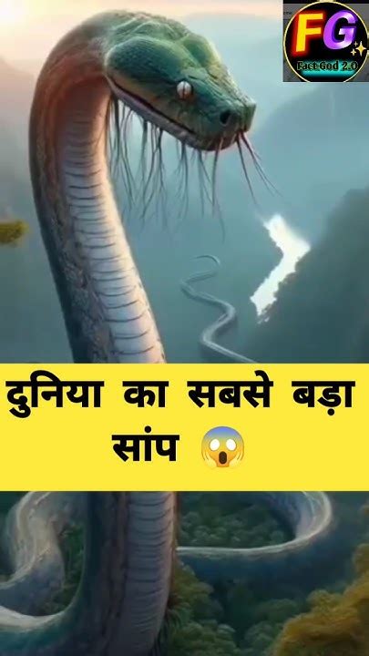 Duniya Ka Sabse Bada Saampthe Worlds Largest Snakevasuki Nag