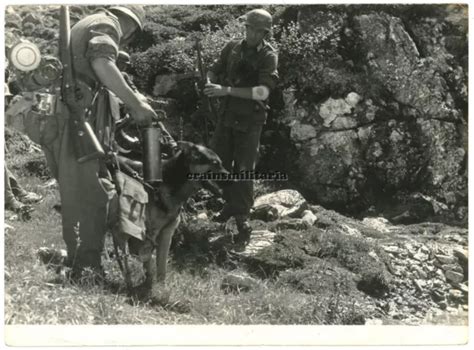 ORIG RIESEN FOTO Gebirgsjäger mit Sanitäter Schäfer Hund Tarnhelm MP