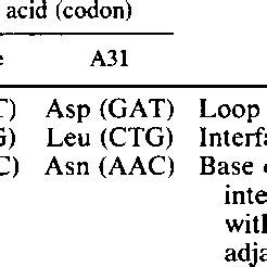 Location Of Amino Acid Substitutions In The HA From Fusion Variant A31