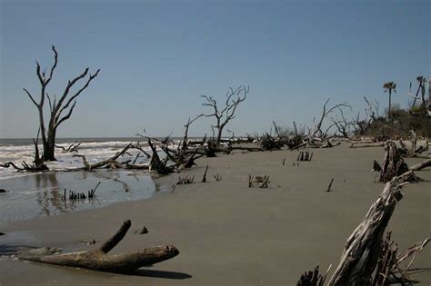 Bull Island Beach | Charleston, Ferry Details, Expert Tip, Location ...