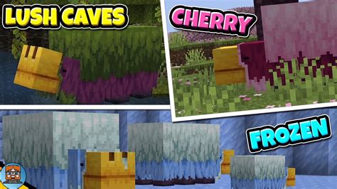 The Minecraft Sniffer In Different Biomes YouTube