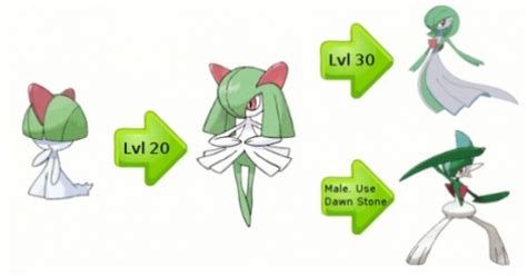 Gardevoir X Male