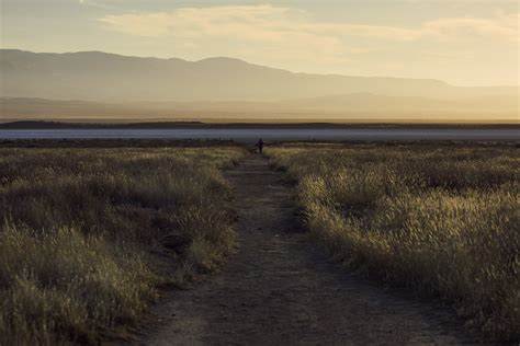 CARRIZO PLAIN NATIONAL MONUMENT: In Photos — Conservation Atlas