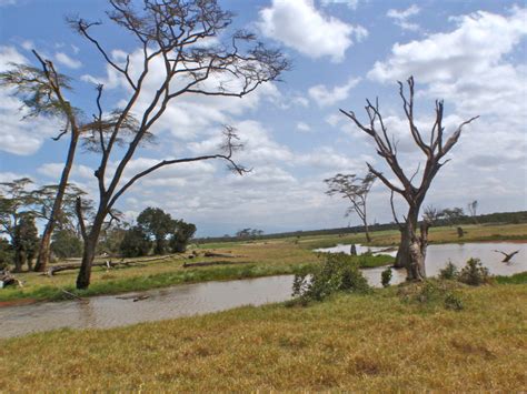 #5 - Laikipia Wildlife Forum - (1/5 - 1/6) - dancinonpeaks12