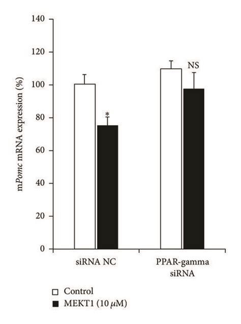 Involvement Of Ppar In The Mekt Effects On Pomc Mrna Expression