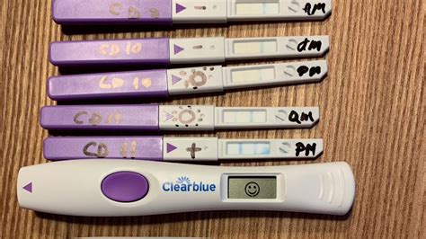 Positive Opk Test At Cd 11 Clearblue Digital Clearblue Advanced