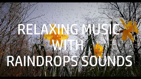 Relaxing Music With Raindrops Sounds For Relaxation Calming Or