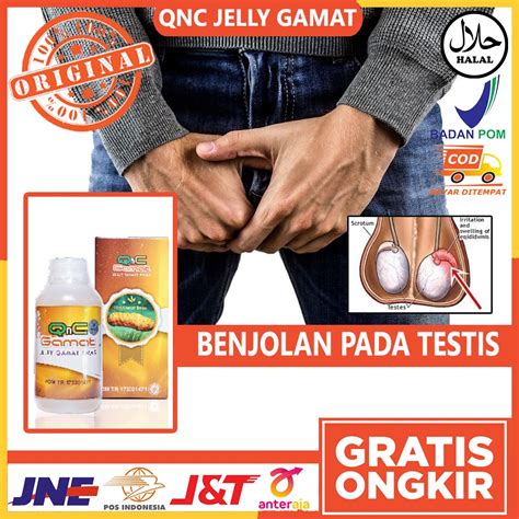 Jual Obat Benjolan Pada Testis Benjolan Pada Buah Zakar Benjolan Di