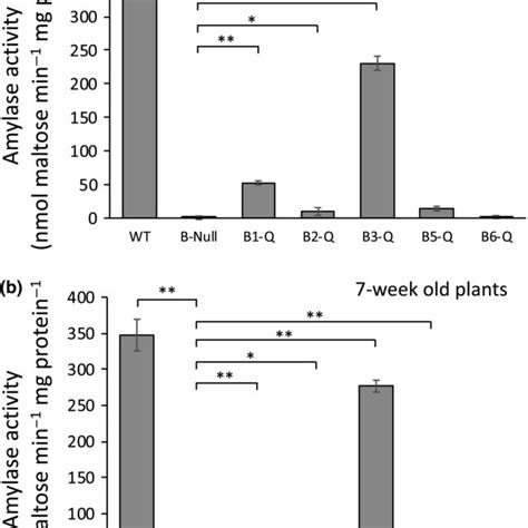 Total Amylase Activity In Crude Extracts From Leaves Of Wt And Mutant