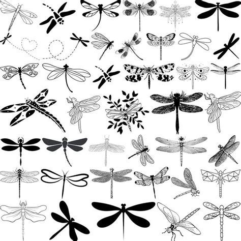 Dragonfly Svg Bundle Dragonfly Clipart Dragonfly Silhouette