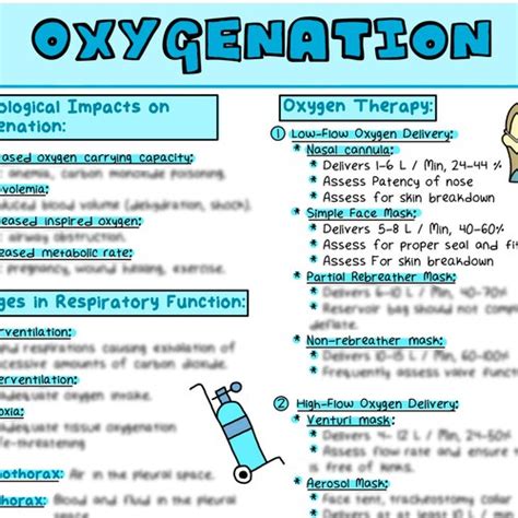 Oxygenation Nursing Study Guide Nursing Notes Etsy