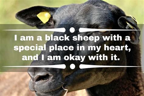 black sheep security quotes  black sheep