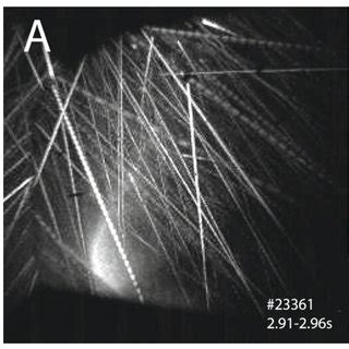 Trajectories Of Dust Particle Observed By The Fast Camera