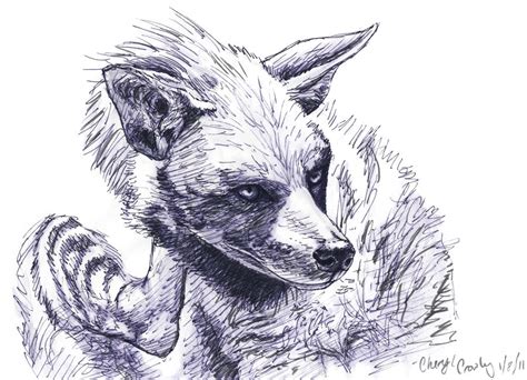 Stripped Hyena sketch by silvercrossfox on DeviantArt