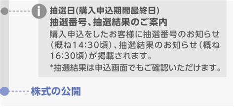 新規公開株式（ipo）／公募・売出（po） 国内株式 楽天証券