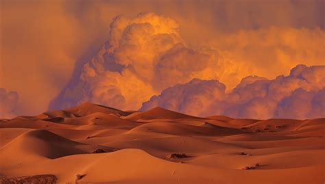 Sahara Desert Wallpaper 4k Infoupdate Org