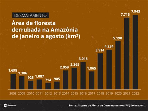 Desmatamento Na Amaz Nia J Chega A Quase Mil Km Em Sbt News