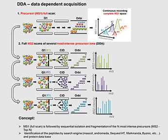 Affinity Chromatography Labelfree Quantification Tandem Mass