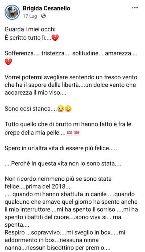 Enrica Emme On Twitter RT Zampa Qua STRAURGENTISSIMO AIUTOO