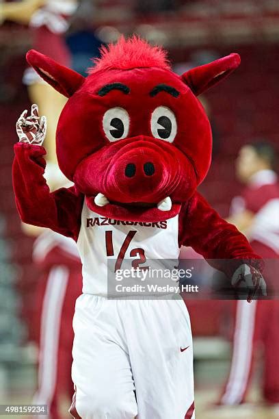 Arkansas Mascot Photos And Premium High Res Pictures Getty Images