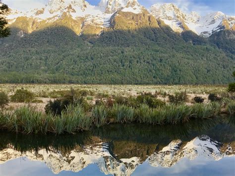 Best ITAP Of New Images On Pholder Itookapicture City Porn And