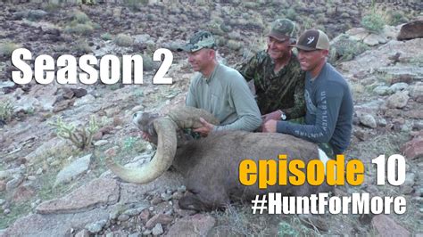 2015 Raffle Desert Bighorn Sheep Hunt Episode 10 Youtube