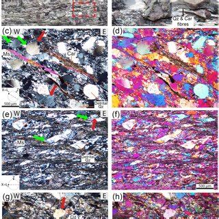 Blueschist facies foliation in metaconglomerate and metaquartzarenite ...