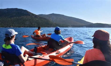 Golfo Aranci Kayak Tour With Dolphins And Aperitif Getyourguide